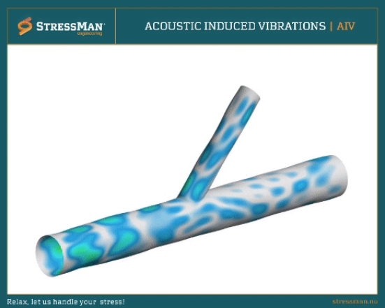 Acoustic Induced Vibration (AIV)